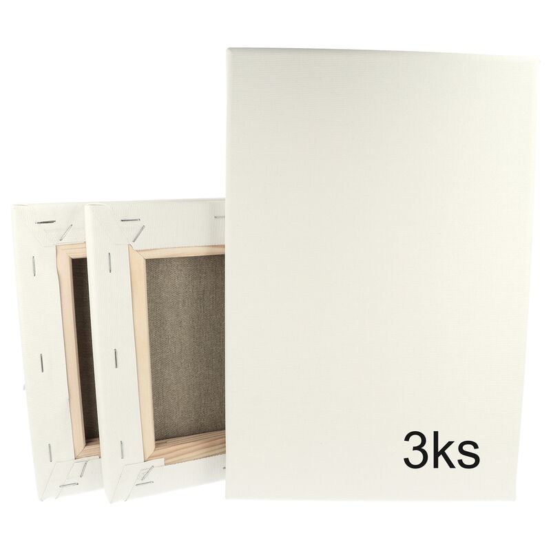 Sada 3 ks maliarskych plátien na ráme 20 x 30 cm 320 g/m²