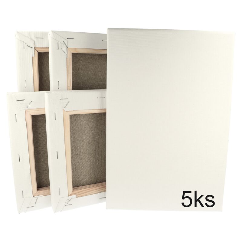Sada 5 ks maliarskych plátien na ráme 20 x 30 cm 320 g/m²